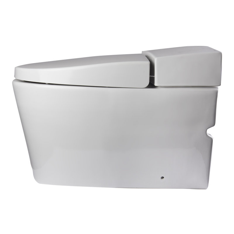 Elongated Toilet Seat