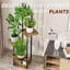 Plant Stand
