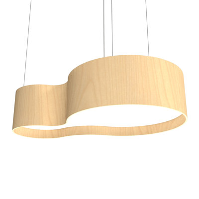 1 - Light LED Unique/Statement Pendant