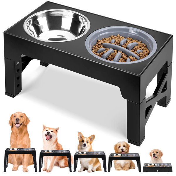 Pet Zone Double Bowl Elevated Feeder Dog Water And Food Bowl Set