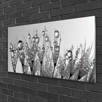 Floral Abstract - No Frame Print on Glass