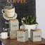 Ensemble café, thé et sucre Lotus 3 pièces-1660048831