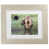 Cream Framed