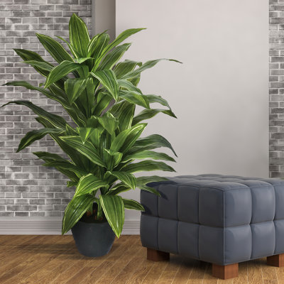 42" Potted Natural Touch Yucca Plant