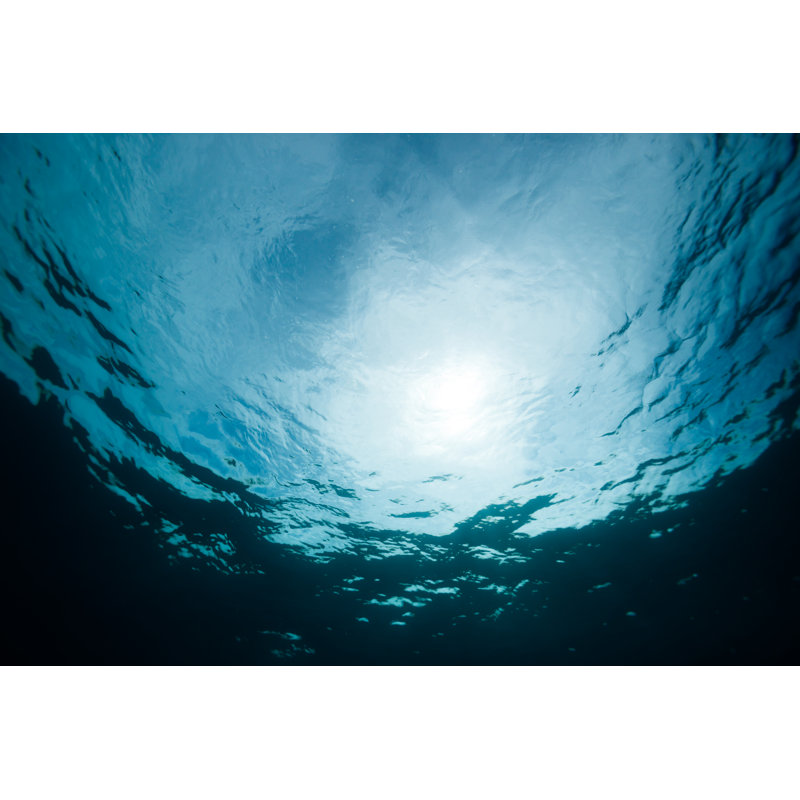 Underwater by Mutlu Kurtbas - Wrapped Canvas Print, 51cm H x 76cm W