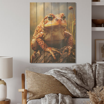 «Classic Frog Portrait I - Frogs & Toads», art mural sur bois de pin naturel