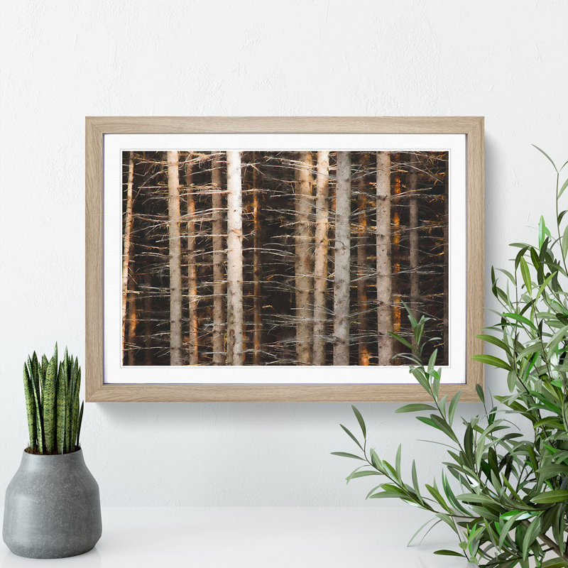 Bare Trees - Picture Frame Painting, Oak Framed, 48cm H x 65cm W x 2cm D