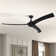 Burwell 62'' Ceiling Fan with LED Lights