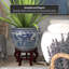 Ladies Chinese Porcelain Pot Planter-810718874