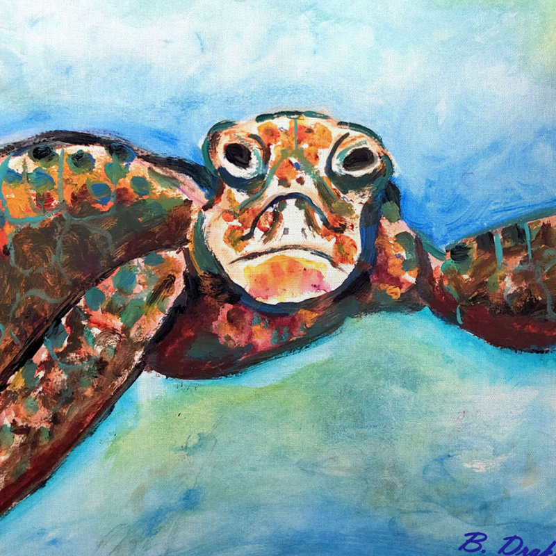 Coussin intérieur / extérieur Turtle, 12 po x 12 po