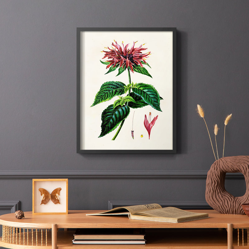 Reproduction encadrée de floral antique I - bois massif, Noir, H 28 po x l 22 po