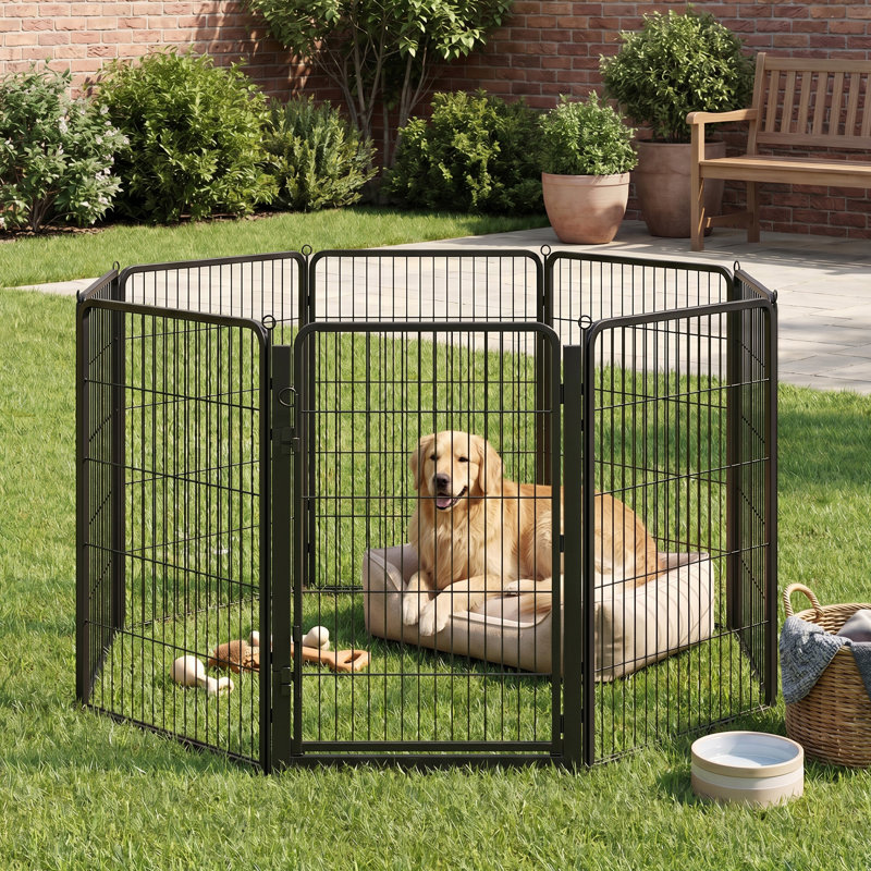 Chenils et enclos pour chiens