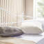 Barile Metal Daybed with Mattress