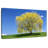 Harnek Spring Weeping Willow-107850704