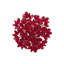 Aster Napkin Ring-1479969539