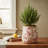 Adairsville Vintage Rustic Ceramic Planter & Vase, French Country Flower Pot for Indoor Plants & Home Garden Decor