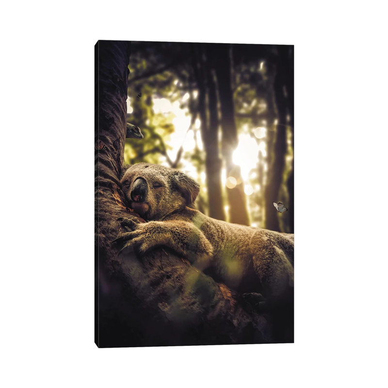 Sleeping Koala by Zenja Gammer - Print on Canvas, Wrapped Canvas, 66.04 cm H x 45.72 cm W x 1.91 cm D