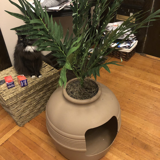 Archie & Oscar Lipton Covered Hidden Cat Litter Box with Decorative Planter  & Reviews | Wayfair