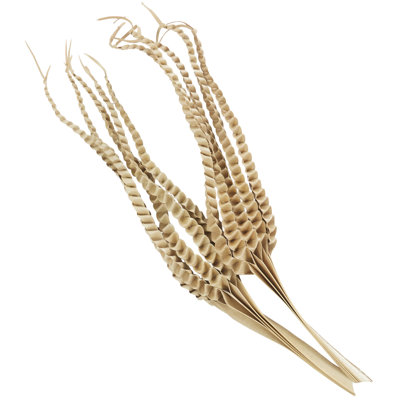 Dried Plant Handmade Tall Five Finger Palm Leaf Decor Natural Foliage