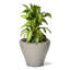 Pot à fleurs en plastique Fernway-83462859-96916942