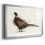 Pheasant Splash 1, reproduction d'art sur papier-924650794-924650800