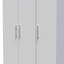 Borgeson Tall Triple Small Drawer Wardrobe -1363682731