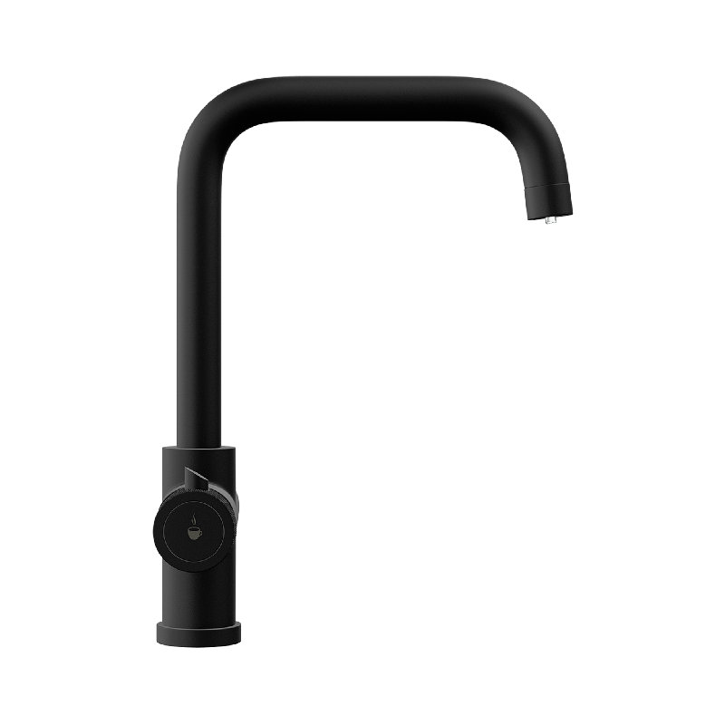 Fohen Kitchen Faucet, Matt Black