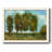 " Tall Trees "-556835762-556835758