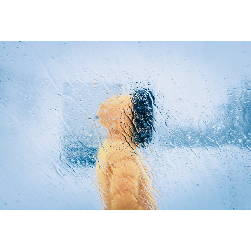 Wrapped Canvas Print, 76.2 cm H x 50.8 cm W