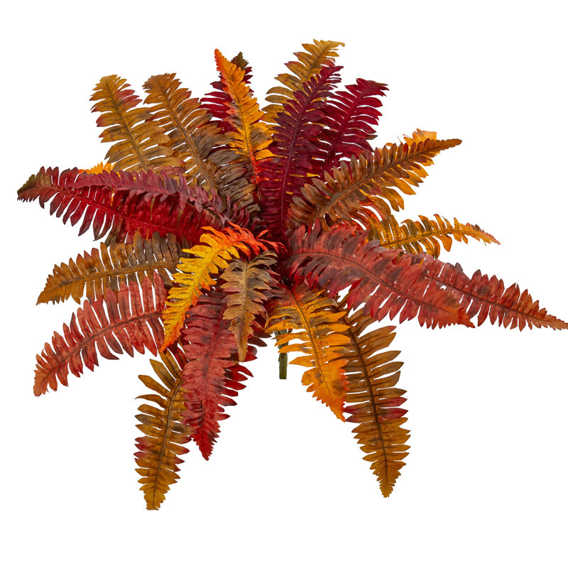 Plantes artificielles à l’automne boston