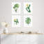 «Green Blooming Flower», ensemble de 4 fleurs de cactus du désert, impression murale encadrée sur papier, impression de 4 pièces-93012485-93012486