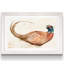 «Pheasantry I», reproduction sur papier encadrée-919043142-919043143
