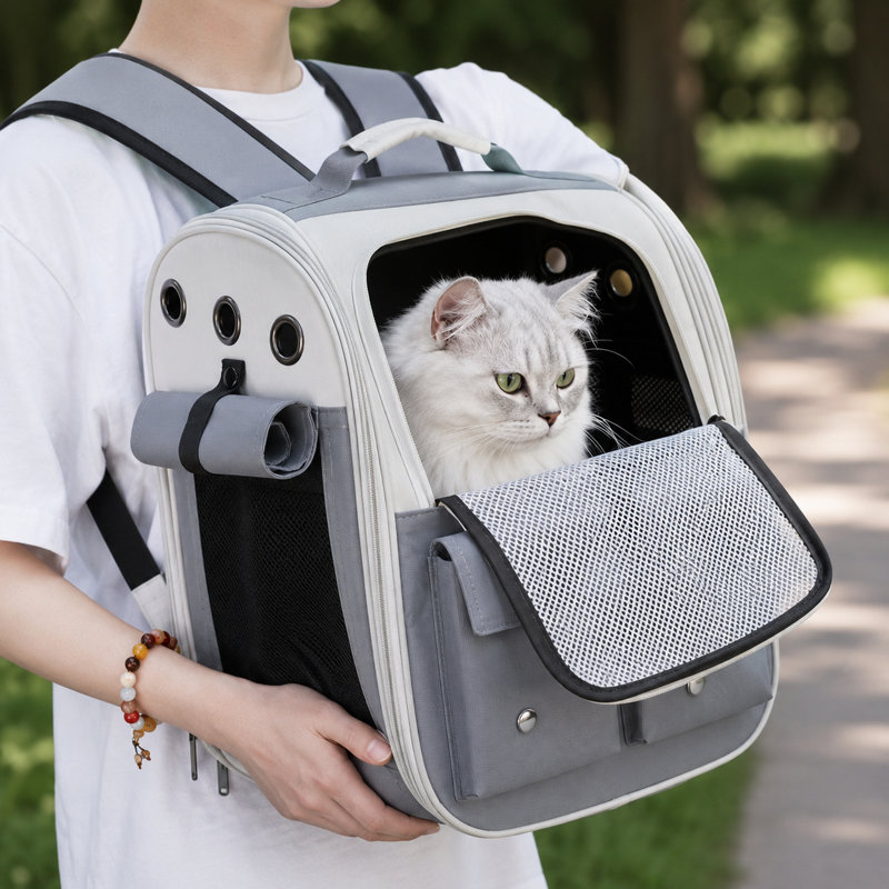 Sac à dos de transport pour animaux de compagnie à grande capacité avec fenêtre avant en filet et deux poches de rangement pour chats et petits chiens
