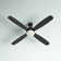 Kaya 52'' Ceiling Fan with LED Lights
