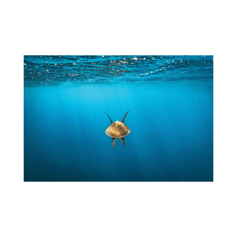 Following Golden Turtle Underwater 1 Piece Wrapped Canvas Wall Art, 101.6 cm H x 66.04 cm W