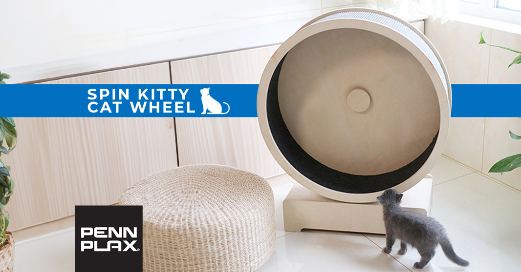 Spin Kitty Cat Wheel