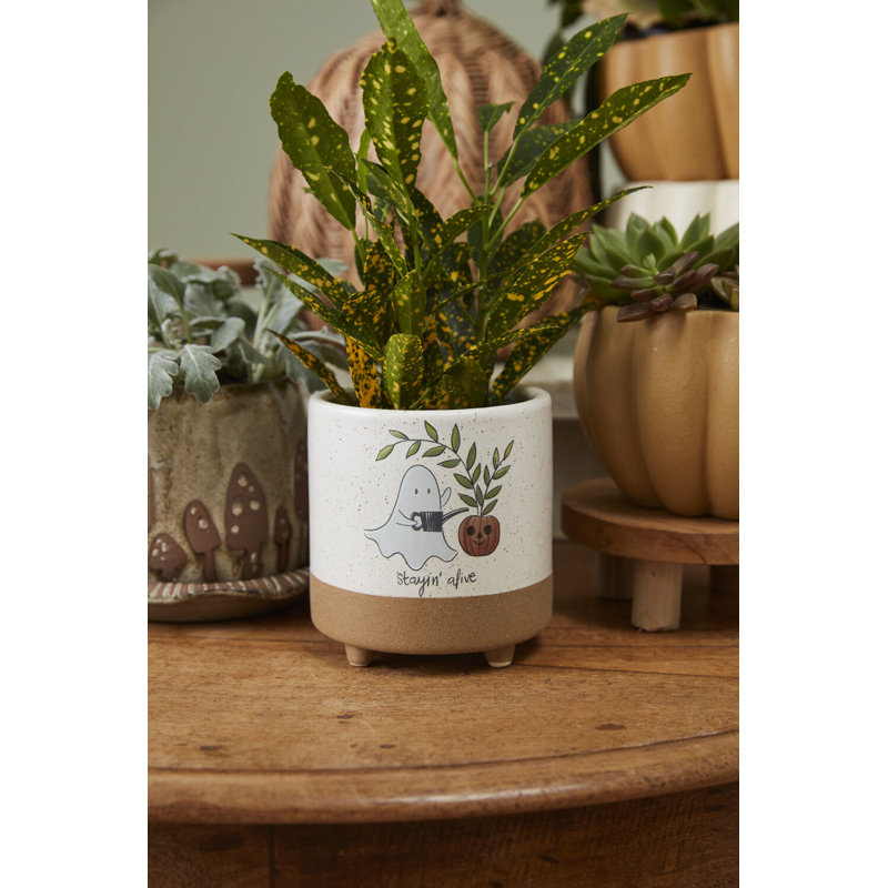 Pot sur pied Optimistic Ghost 4,75 po x 5 po, H 5 po x l 4,75 po x P 4,75 po