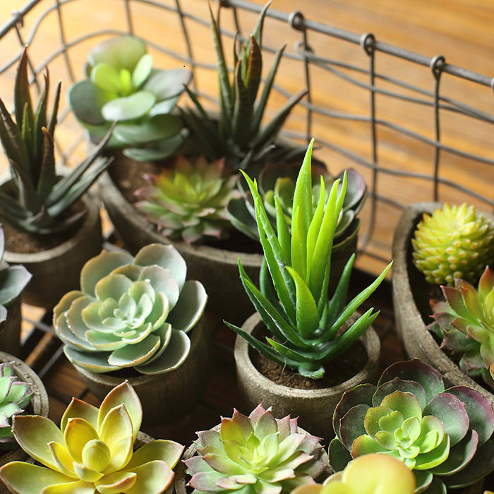 3'' Faux Succulent Plant in Pot