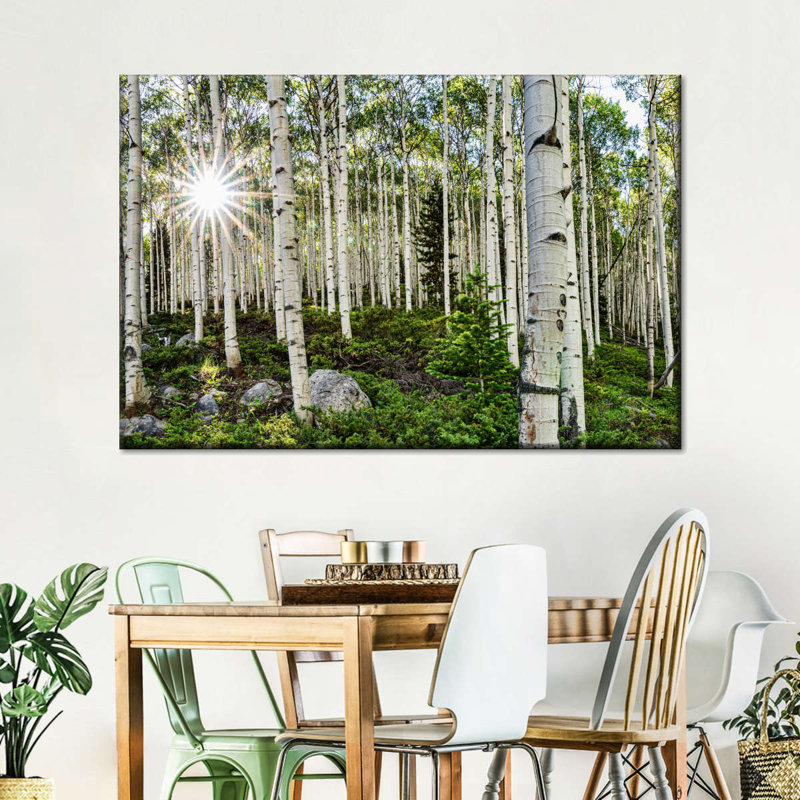 Aspen Forest Sunburst sur toile, H 8 po x l 12 po x P 1 po