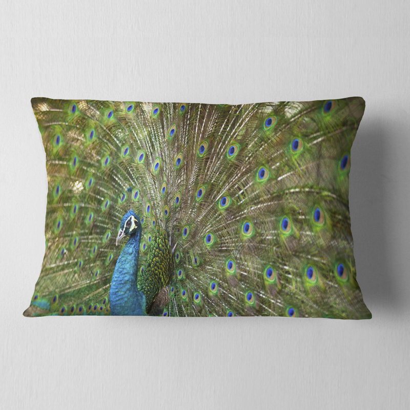 Oreiller peacock avec plumes animal magnifique