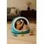Lit pour chat-1938466521