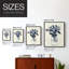 Indigo Floral Vase II, reproduction encadrée - bois massif-1364693314-1364693316