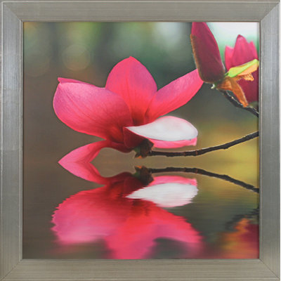 Lotus Reflections Print