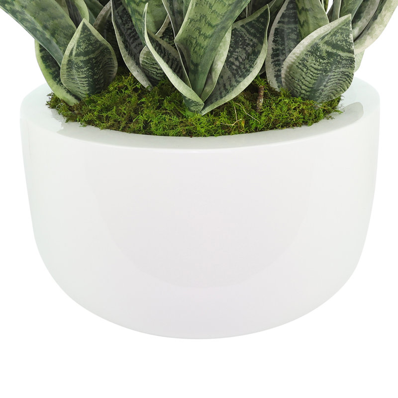 Faux Sansevieria Plant in Fiberstone Planter