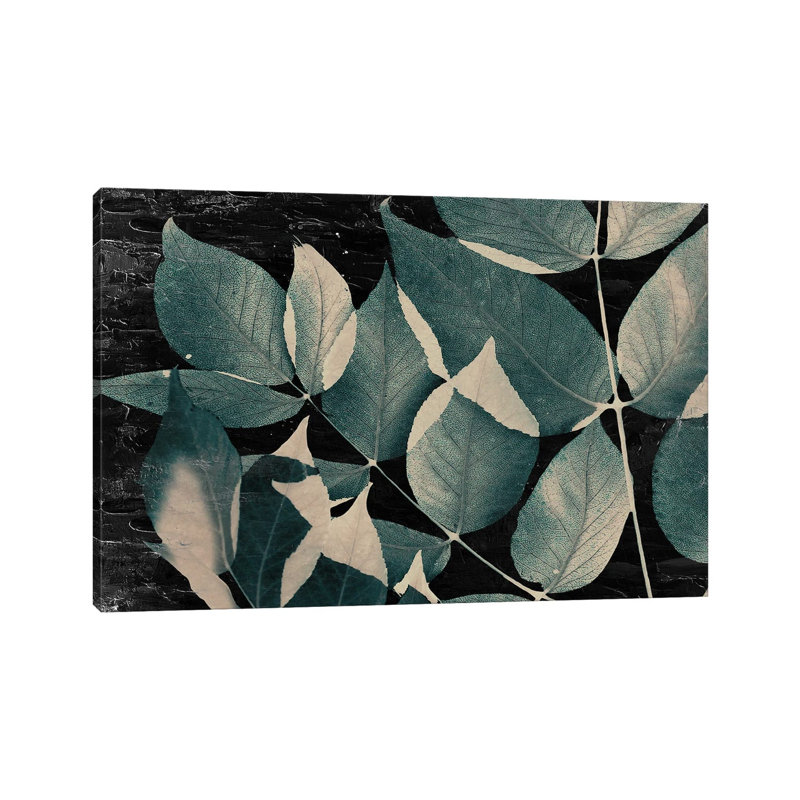 Dusty Leaves II by Kimberly Allen - Wrapped Canvas Print, 66.04 cm H x 45.72 cm W x 3.175 cm D