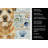 Wheaten Border Terrier Coastal Sea Glass Kitchen Towel-871464092