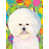 Bichon frisé (blanc)