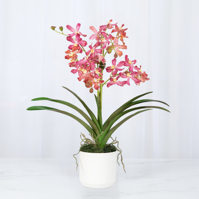 Polysilk Orchid Arrangement In Pot, White, Pink
