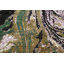 Tapis vert noué à la main de conception unique 9 pi x 12 pi 3 po New Age