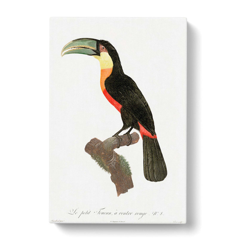 Toucan by Jacques Barraband - Wrapped Canvas, 60cm H x 40cm W x 3cm D